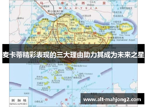 麦卡蒂精彩表现的三大理由助力其成为未来之星