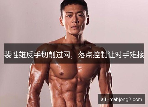 裴性雄反手切削过网，落点控制让对手难接