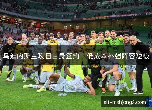 乌迪内斯主攻自由身签约，低成本补强阵容短板